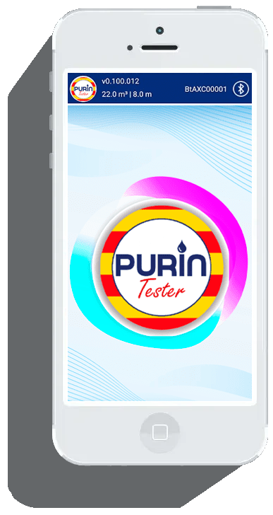 inicio_purin