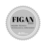 FIGAN-improvement